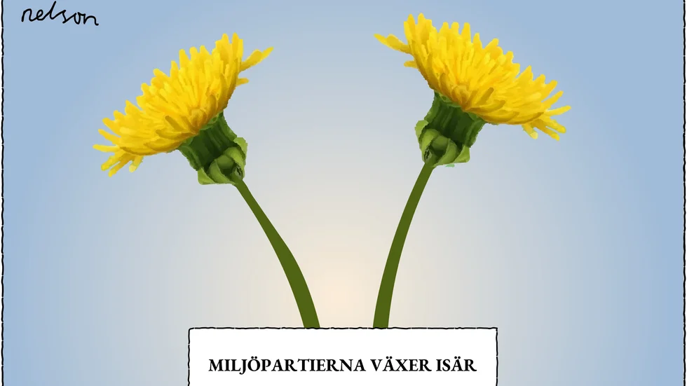 Inte så nära syskon.