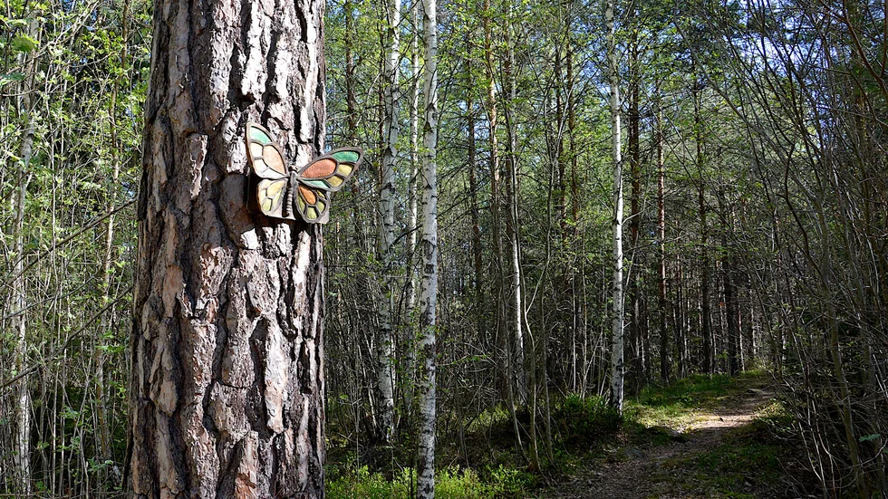 Är det verkligen klimatsmart att skövla skog mellan Västervik och Gunnebo för att få till en ny stadsdel? frågar sig debattörerna.