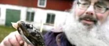 Han slår larm om blinda flundror