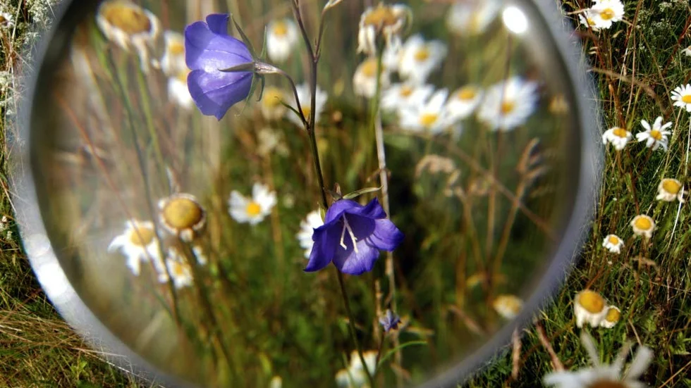 Arbetssättet vid nventeringen av nyckelbiotoper förändras.