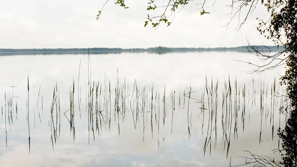 tingstäde träsk. Det handlar inte bara om tillgången på vatten i Tingstäde träsk utan också om ledningens kapacitet.