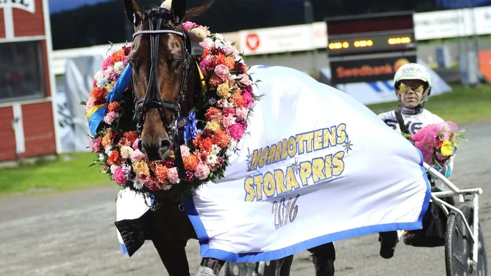 Propulsion återvänder till Boden för Norrbottens Stora Pris även i år.