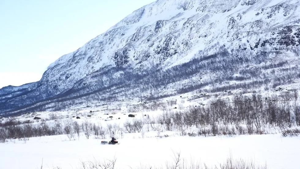 FÖRBUD. Regeringen ändrade på Kiruna kommuns beslut för tillfälliga skoterförbudsområden inom Könkämä och Laevas samebyar.