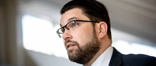 Åkesson vänder om Nato men partiet splittrat
