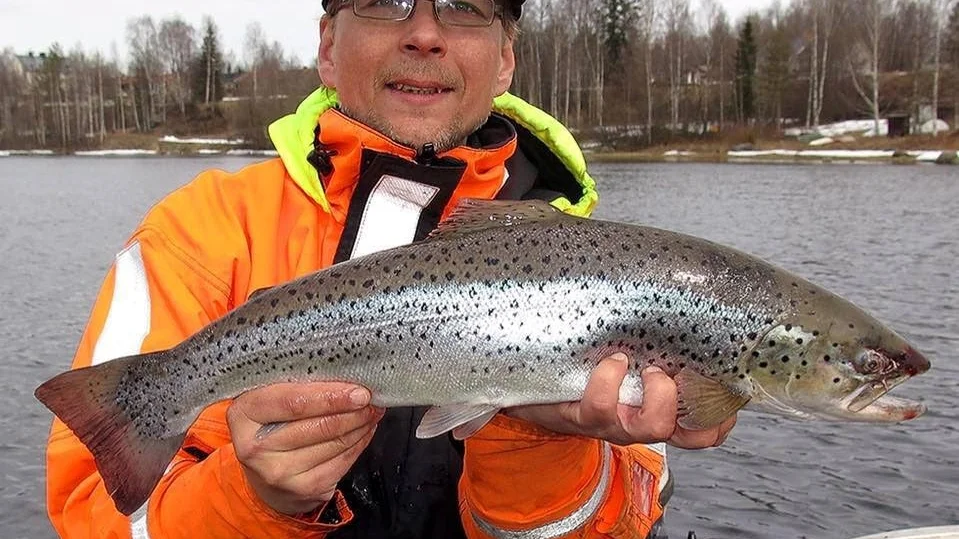 Robert Westin, som är fiskeguide till vardags, hjälpte filmteam komma ut i skogen.