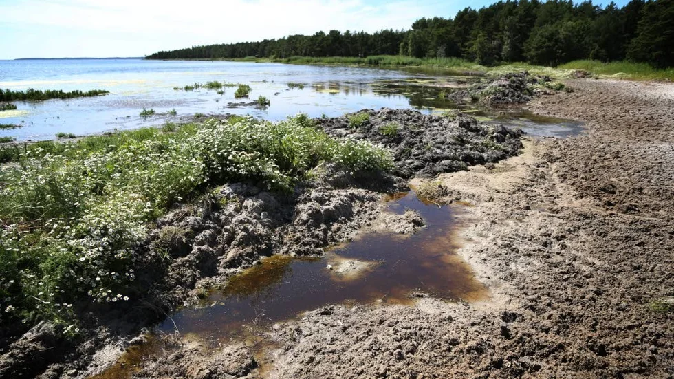 Bungeviken.