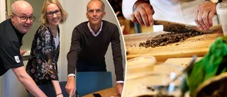 Krögarna har ny plan för att öka turismen