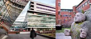 Skarv mellan socialtjänst och sjukvård kan skava