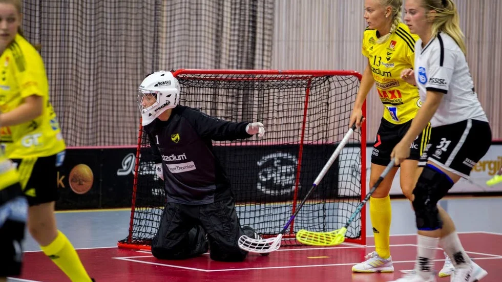 Sophia Lundmark vaktade Endres mål mot Nacka.