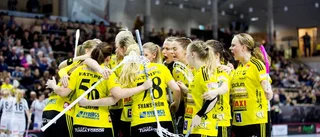 Tränarna: Så går det för Endre i år