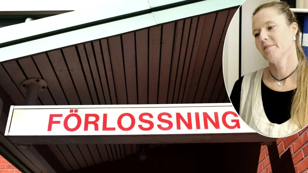 Förlossning. Anna Hörsne-Malmborg vittnar om en extra intensiv vecka.