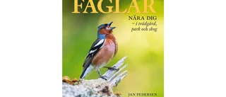 Våra vanligaste fåglar av Jan Pedersen