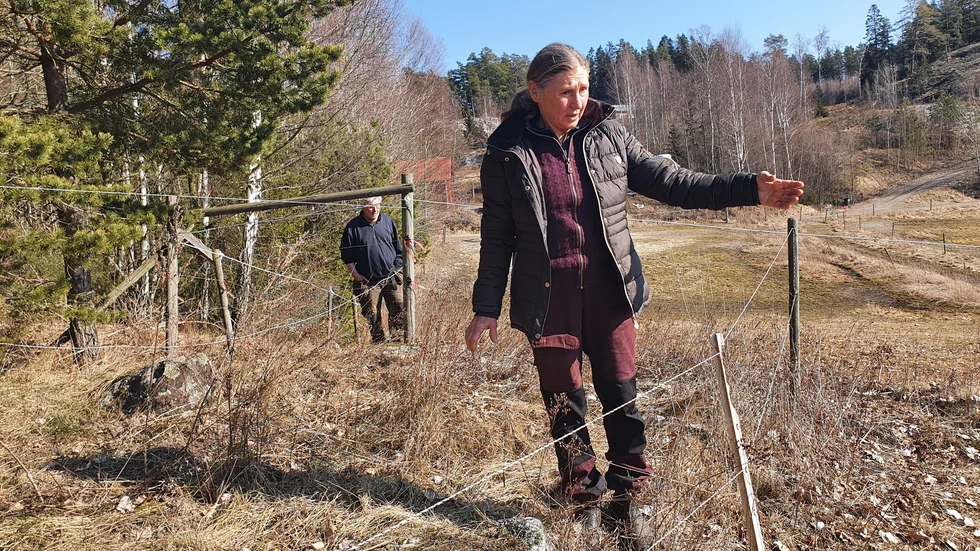 Eva Grimstedt och Lars-Erik Andersson vill bygga ett hus på sin egen mark men nekas, bland annat för att andra personer varit intresserade av att göra avstyckningar inom kommunens vattenskyddsområde.