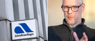 Storbolagen sågar Arbetsförmedlingen: ”Väljer att direkt motarbeta norra Sverige”
