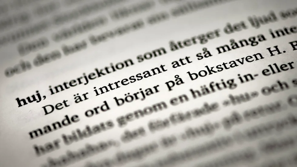 Årets översättarpris belönar "utmärkta översättningar till svenska språket" Arkivbild.