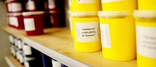 Färgglada planer i Kjells verkstad