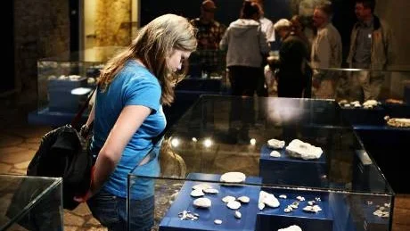 Fossiler. Besökare som kom till Fornsalen på Geologins dag fick veta mer om öns fossiler och hur Gotland blev till. Museets utställning  "Gotlandium -430 miljoner år" handlar om Gotlands geologiska utveckling.
Foto: Tobias Wallström