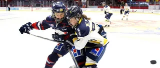 Avslöjar: Luleå Hockey jagar rivalens back