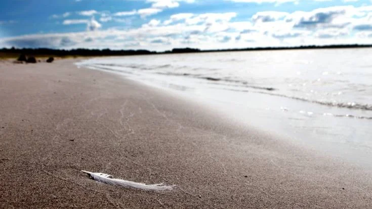 Strand Badstrand Sandviken