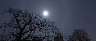 Ljusfenomen över Visby