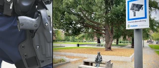 Offer överfölls nattetid i stadsparken: Nytt besked om våldsligan