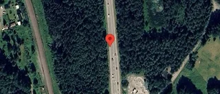 Problem i trafiken efter nedfallna träd på väg 55
