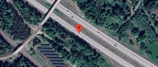 Trafikverket varnar för rådjur på vägen på E18