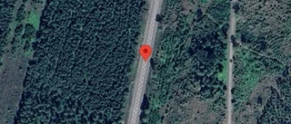 Djur på vägen kan skapa fara på E22