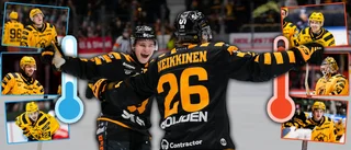 Läsarna och Norran har sagt sitt – de har varit bäst i AIK 