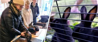 Efter djurägarnas oro: Nu skrotas förslaget på husdjursregler