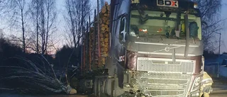 Chauffören nedsövd efter timmerbilsolyckan