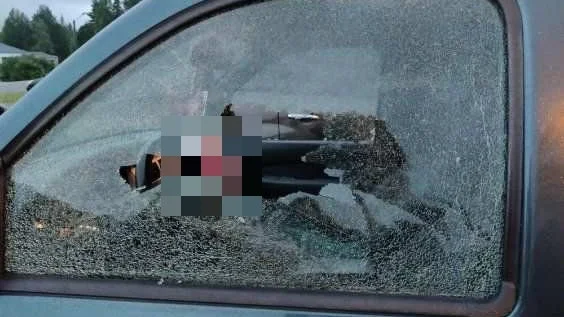 Pojken slog sönder rutorna på A-traktorn. Han slog även sönder lyktor, backspeglar och skar sönder samtliga fyra däck.