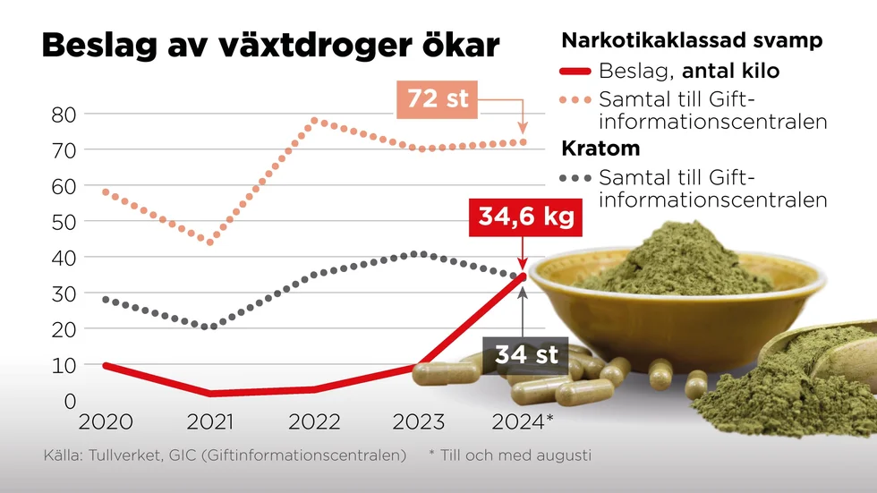 Beslag av narkotikaklassad svamp och samtal till Giftinformationscentralen, 2020–2024.
