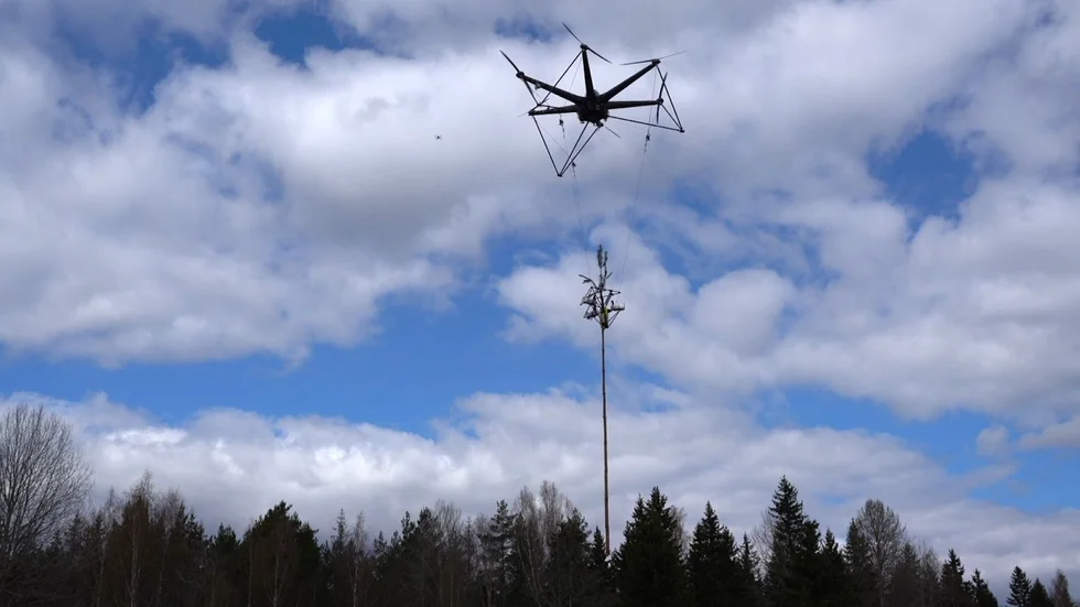 Så här går det till när Airforestrys drönare fraktar träd från skogen. Drönarna kan hantera träd på upp till ett par hundra kilo.