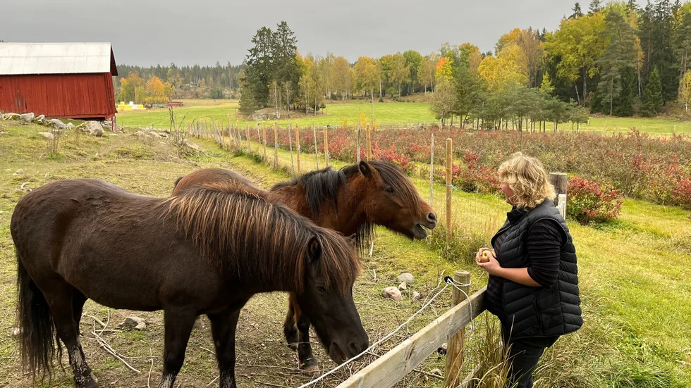 Förr jobbade Marie Sjöberg som fritidspedagog och bodde i villa i Östra Ryd. Men hon och maken föll för Olerums gård utanför Söderköping. "För mig var det rätt livsval att göra något helt nytt", säger hon.