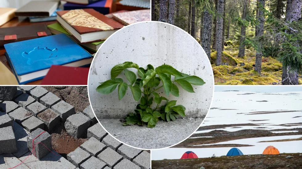 Nystartade företag