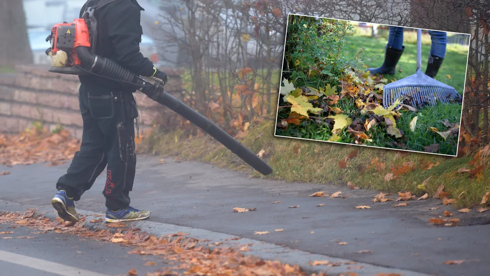 Ofta väljer man det dyra och ineffektiva, konstaterar "Hawkeye".