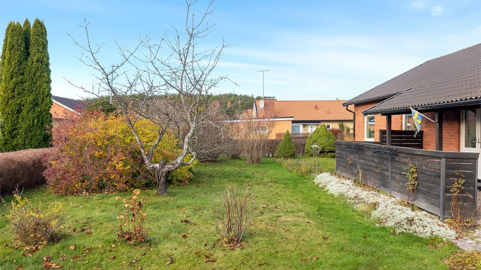 Trädgård på baksidan.