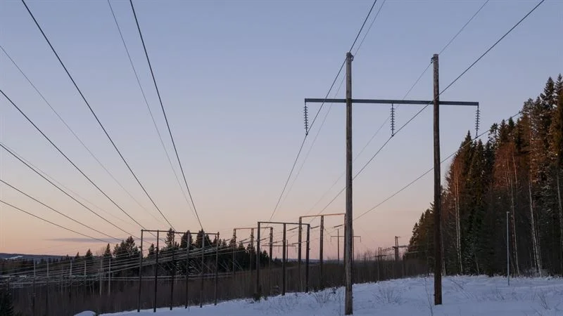 Elnät placerar sig som överlägsen Sverigeetta i båda kategorierna tack vare god kundnöjdhet hos sina drygt 66 000 privat- och företagskunder.