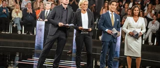 Såg jag och SN:s krönikör samma TV-program?