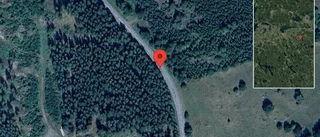 Problem i trafiken efter nedfallna träd på väg 741