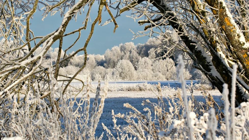 Vackra vyer och rolig bansträckning kan vintertävlingen Winter trail bjuda på nästa år.