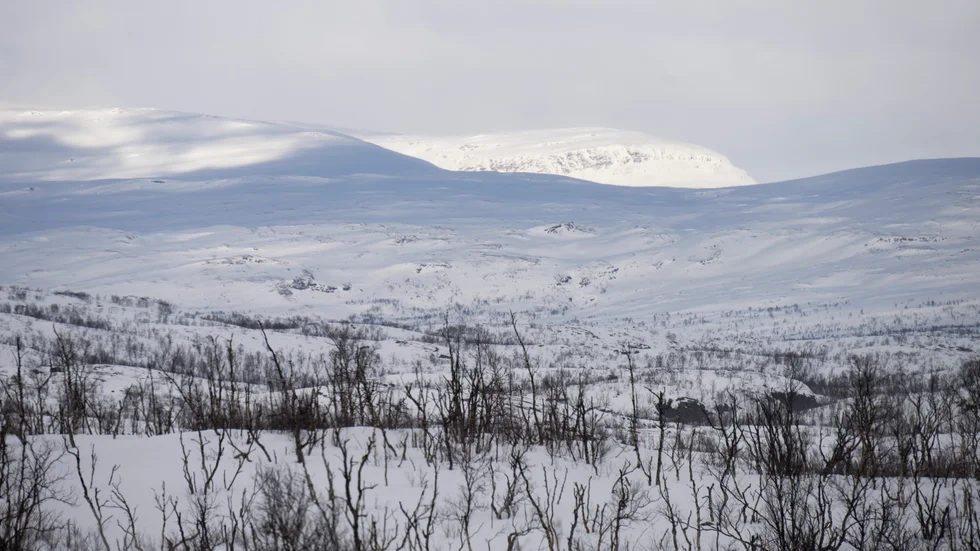 SMHI varnar för kratfig vind och hårda snöbyar på fjället i Västerbotten och Norrbotten.

