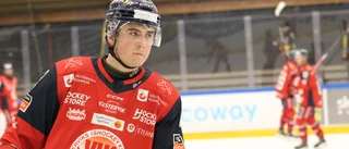Ännu en spelare lämnar VIK för Hockeyallsvenskan – men förlänger