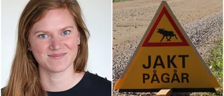 Tusentals älgar ska skjutas – men skogen är inte "stängd"