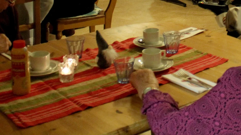 "De här lunchrestaurangerna är som en guldkant i tillvaron där pensionären kan gå och ta sig en bit mat samt småprata och träffa varandra", skriver Anneli Jakobsson.
