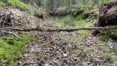 Diket i skogen har blivit en het fråga. Det har bidragit till att torrlägga ett kärr, men nedströms har markägarna fått bekymmer med översvämningar.