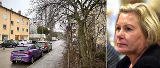 Politiker fick bajs på bilen – utesluter inte krafttag