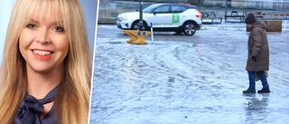 Modernisera Eskilstunas halkbekämpning!