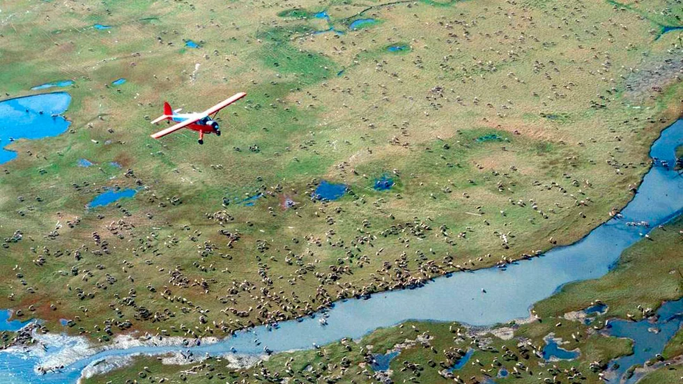 USA:s president Joe Biden stoppar tills vidare oljeverksamheten i naturreservatet Arctic National Wildlife Reserve i Alaska. Arkivbild.